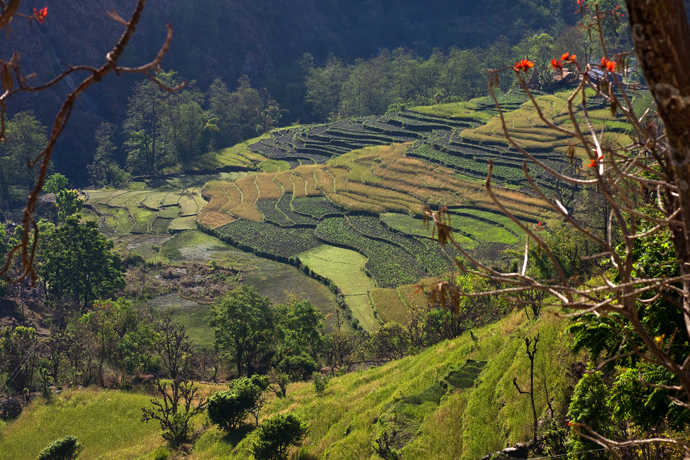 Nepal Photos and Slideshow Switchback Travel